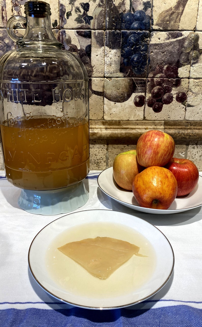 May include: A clear glass jar with a blue base filled with a light brown liquid. The jar is labeled "White House Vinegar". A white plate with four red apples on it. A white plate with a light brown, thin, flat, disc-shaped object in a clear liquid.