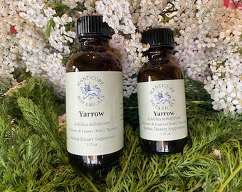 Yarrow (Achillea millefolium) Tincture | Broad Spectrum | Wildsourced