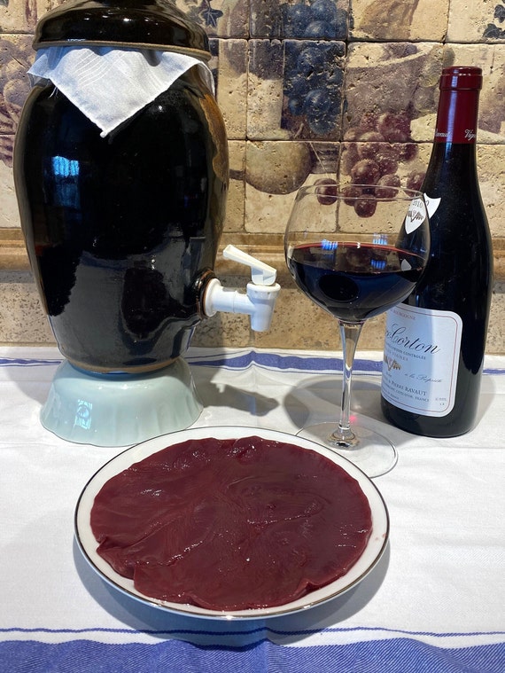 Red Wine Vinegar Mother | Mother Of Vinegar | Vinegar Starter | Red Wine Vinegar | All Natural | SCOBY | Probiotic | Make Your Own Vinegar