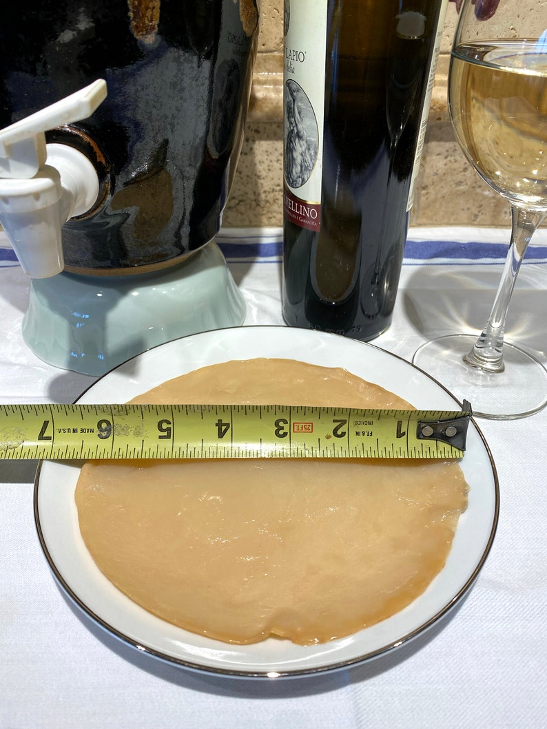 Op de afbeelding: Een ronde, lichtbruine kombucha SCOBY op een wit bord met een zwart en geel meetlint dat 17,8 cm breed is.