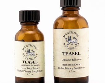 Teasel Root (Dipsacus fullonum) Extract | Broad-Spectrum Hyperextraction Process | Small-batch | Wildcrafted