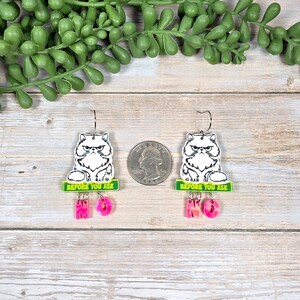 May include: A pair of dangle earrings featuring a grumpy white cat illustration with the text "BEFORE YOU ASK" on a green background. Below, the earrings spell out "NO" in pink letters.