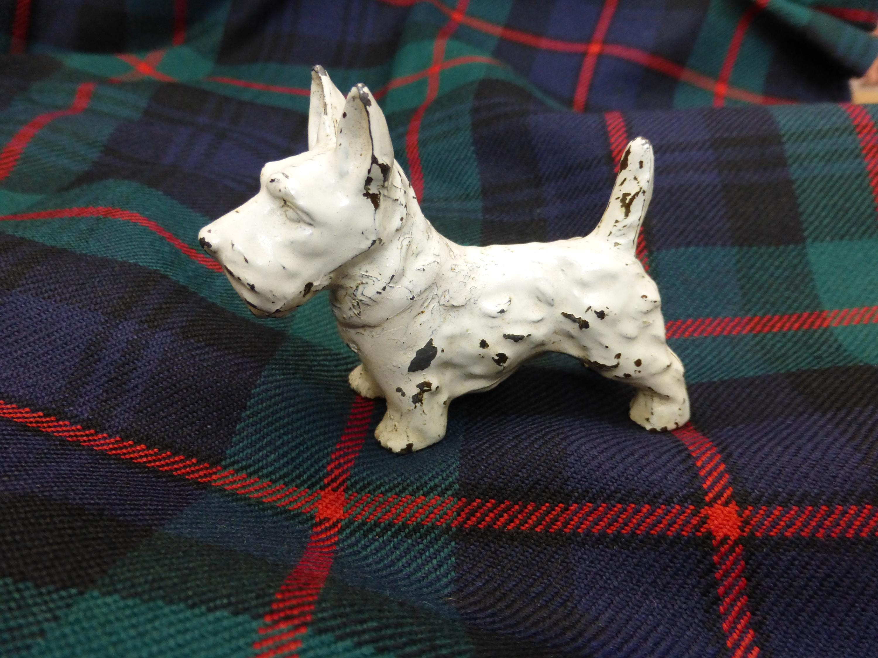 Bota Bull Terrier Colini