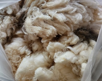 Raw White Merino Wool