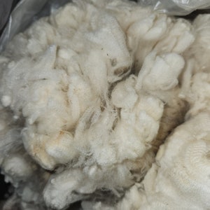 May include: A close-up of a large clump of white sheep's wool. The wool is soft and fluffy, and it appears to be freshly shorn.
