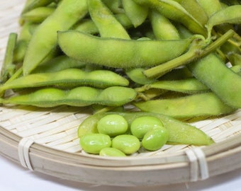Green Soybeans 10  Seeds