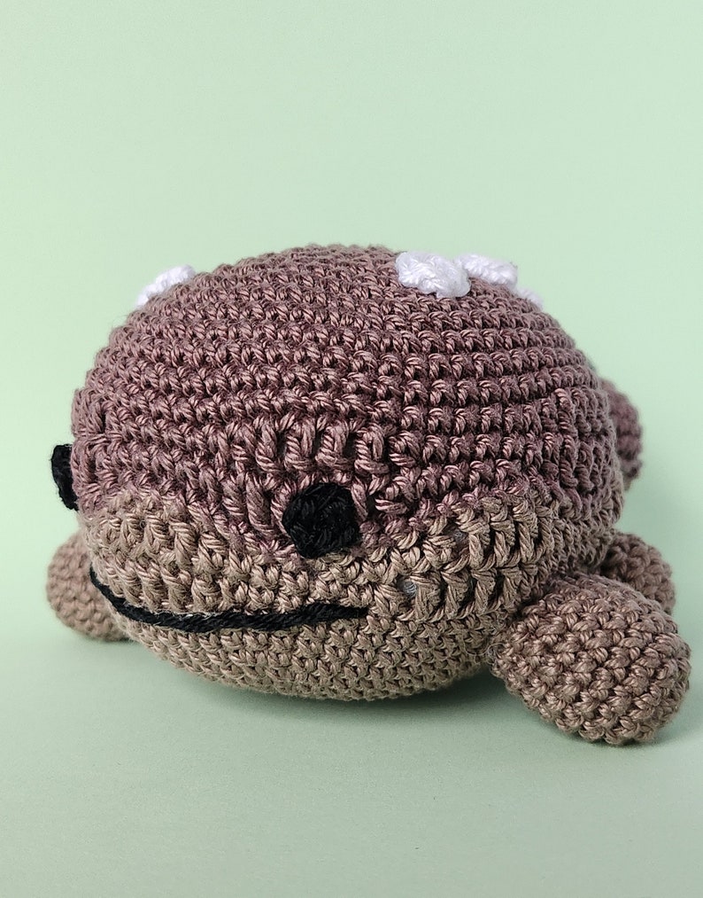 Muddy Boy Crochet Amigurumi Pattern image 3