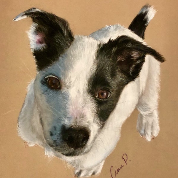 5x7", 8x10" Pastel Pencil Custom Pet Portrait