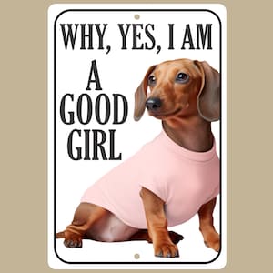 Personalized Cute Dachshund Sign, Good Girl in Pink Sweather Dog Sign, Funny Dog Lover Gift, Novelty Decor