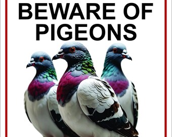 Beware of Goose Signs 20,3 x 30,5 cm Segnali di avvertimento in metallo