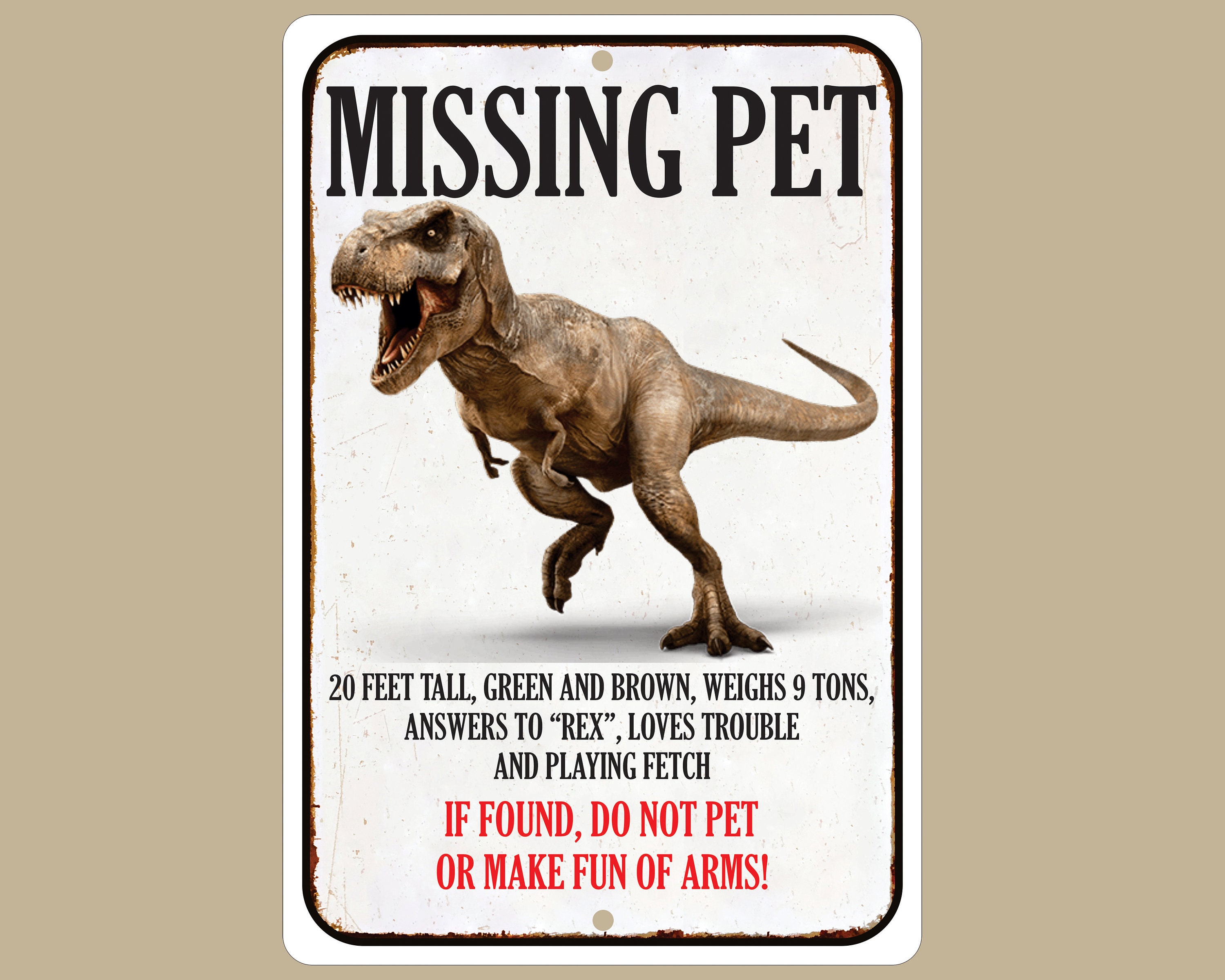 Missing Dinosaur Pet Sign, Whimsical Home Decor, Unique Door Sign