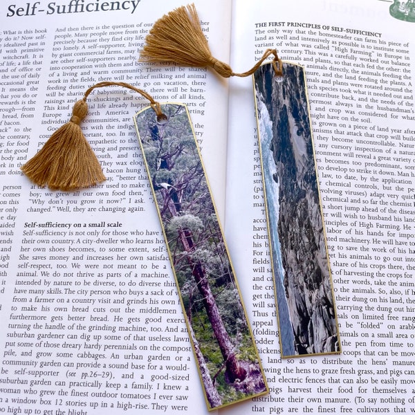 Nature Bookmark with Tassel and Gold Border | Gift For Book Lover | West Australia | Photograph Bookmark | Hand Made | Unisex Bookmark