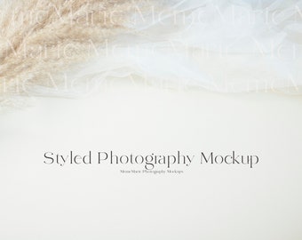 Wedding Stock Photo Background, Dried Flowers, Beige Neutral (Digital File)