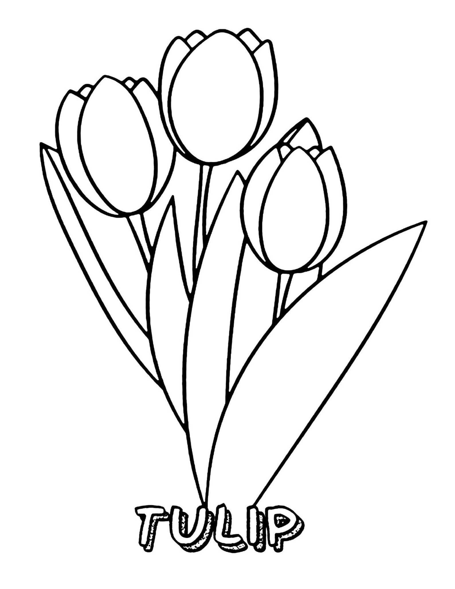 40 Flower Coloring Pages for Kids - Etsy