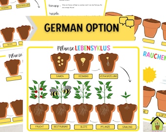 GERMAN EDITION, Plant Life Cycle Printable Activity, What Plants Need Activity, Kindergarten Science, Nature Study, Homeschool Activity