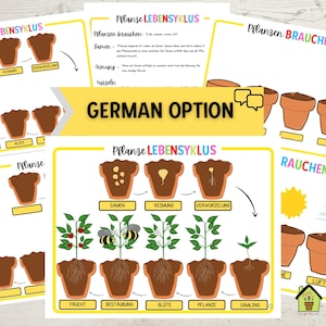 GERMAN EDITION, Plant Life Cycle Printable Activity, What Plants Need Activity, Kindergarten Science, Nature Study, Homeschool Activity