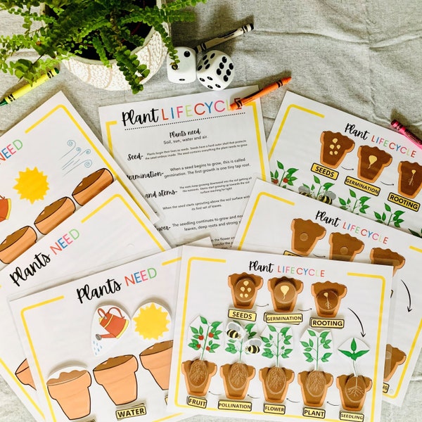 Plant Life Cycle Printable Activity, What Plants Need Activity, Kindergarten Science, Nature Study, Homeschool Activity,Homeschool Printable