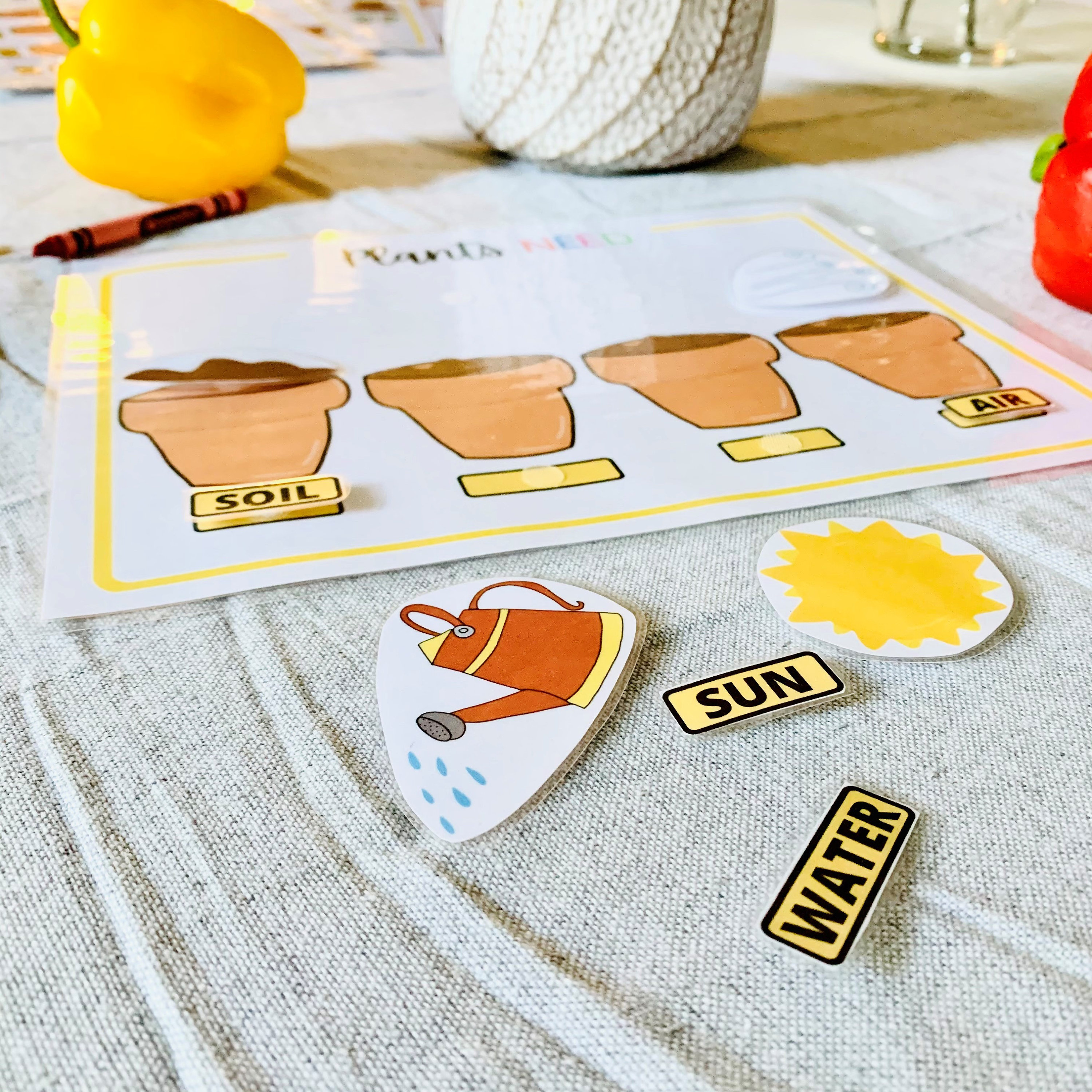 Plant Life Cycle Printable Activity, What Plants Need Activity ...