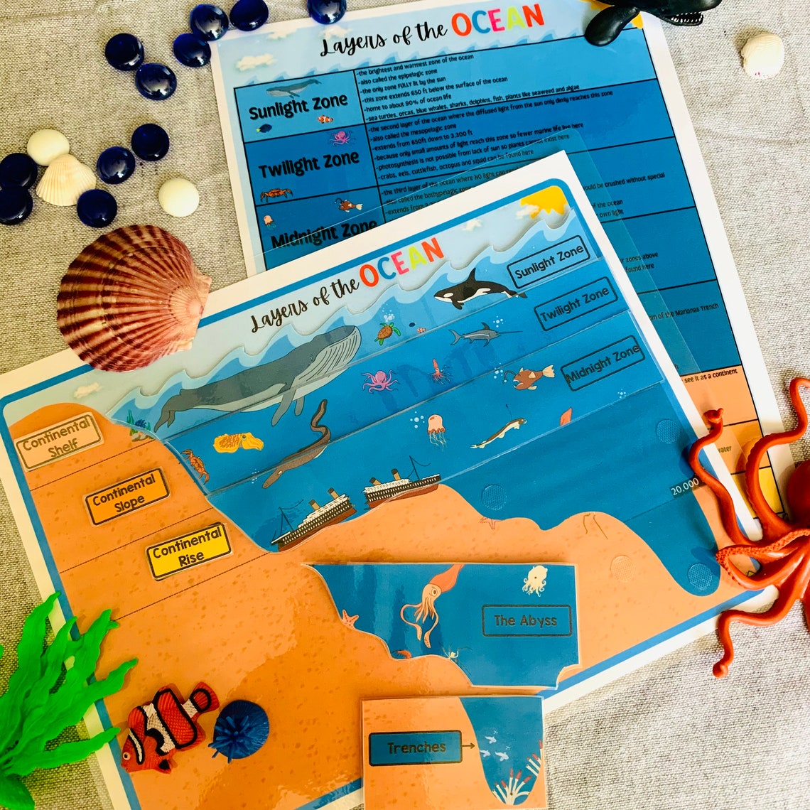 Ocean Layers Printable Ocean Zones Pelagic Zones Learn Etsy Canada