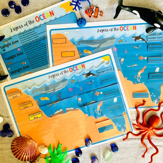 Ocean Layers Printable Ocean Zones Pelagic Zones Learn Etsy Canada
