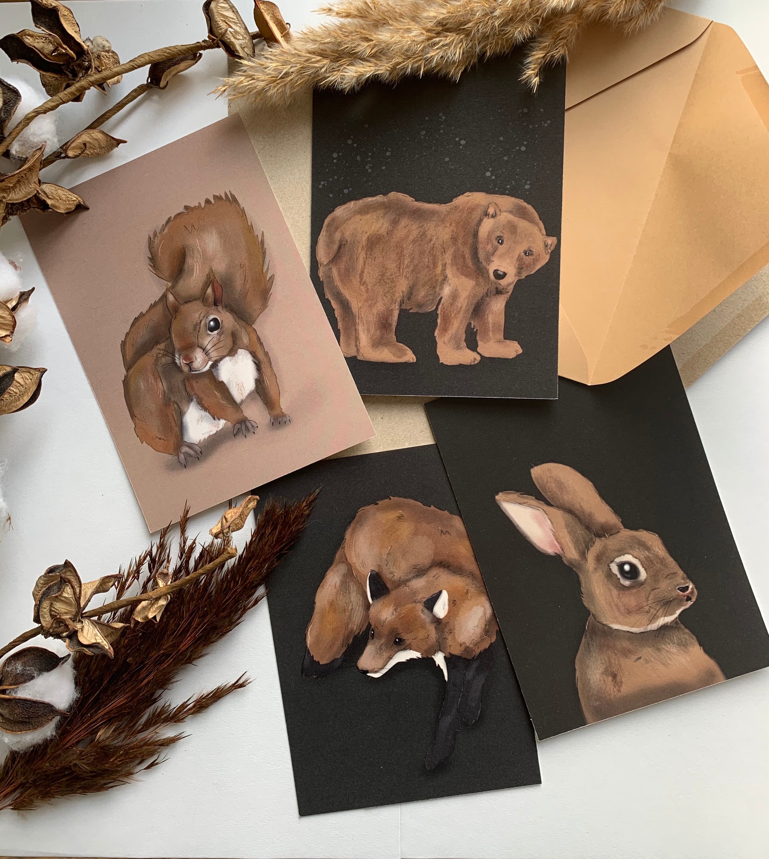 Kawaii Forest Animals with Japanese Descriptions Postcards ~ Cute Postcard Set 