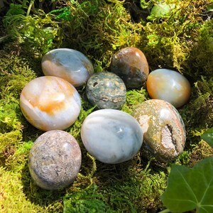Sea Jasper Palm Stones From Madagascar | Polished Orbicular Jasper