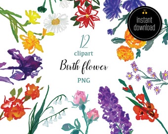 May include: A set of 12 watercolor illustrations of birth month flowers. The flowers are painted in various colors, including purple, blue, red, yellow, orange, and white. The flowers are arranged in a circle around the text "12 clipart Birth flower PNG".