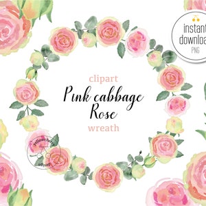 Pinke Kraut Rose Aquarell Kranz Clipart
