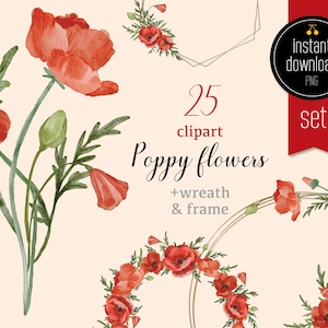 Ensemble de clipart aquarelle de fleur de pavot | couronne florale - cadre de coquelicot - coquelicots - clipart de fleur rouge