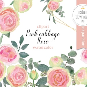 Rosa Rosa Aquarell Clipart Set PNG | Hochzeitseinladung, Tischnummer - Babyparty - direkter Download