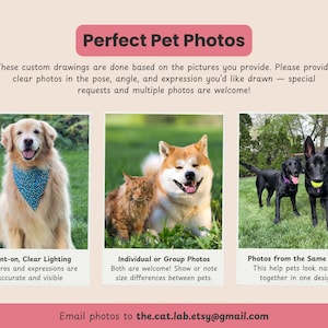May include: An advertisement for custom pet drawings. The image features three pet photos: a golden retriever with a blue bandana, a dog and cat, and two black dogs with a tennis ball. Text reads "Perfect Pet Photos" and "Email photos to the.cat.lab.etsy@gmail.com."