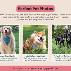 May include: An advertisement for custom pet drawings. The image features three pet photos: a golden retriever with a blue bandana, a dog and cat, and two black dogs with a tennis ball. Text reads "Perfect Pet Photos" and "Email photos to the.cat.lab.etsy@gmail.com."