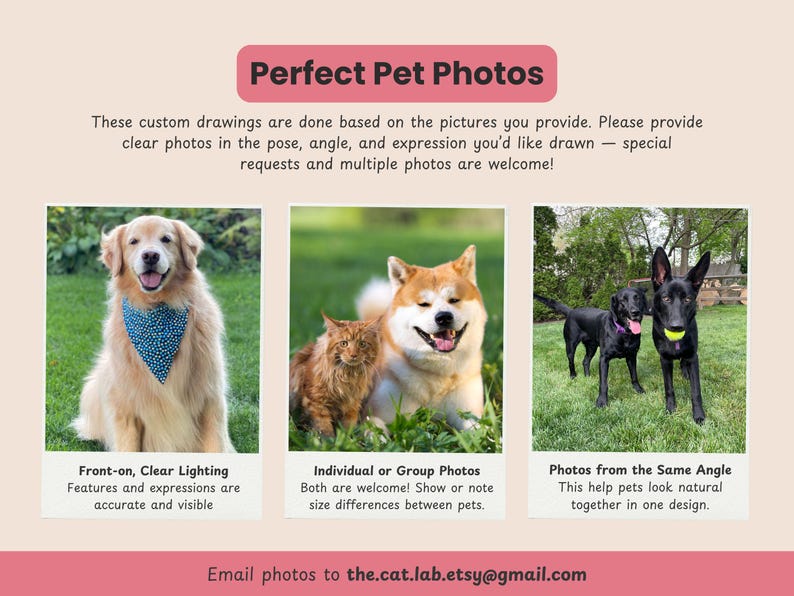 May include: An advertisement for custom pet drawings. The image features three pet photos: a golden retriever with a blue bandana, a dog and cat, and two black dogs with a tennis ball. Text reads "Perfect Pet Photos" and "Email photos to the.cat.lab.etsy@gmail.com."