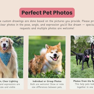 May include: A digital graphic titled Perfect Pet Photos featuring three panels of pet photography examples. The text provides instructions for custom pet drawings, including tips on lighting, poses, and group photos for accurate artistic results.