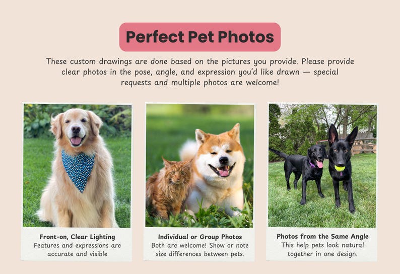 May include: A digital graphic titled Perfect Pet Photos featuring three panels of pet photography examples. The text provides instructions for custom pet drawings, including tips on lighting, poses, and group photos for accurate artistic results.