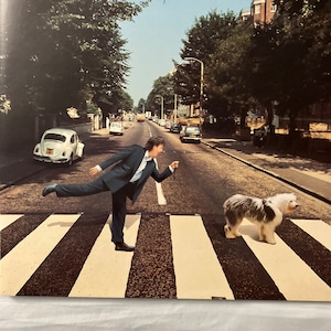 Paul McCartney - Paul Is Live vinyle LP NM