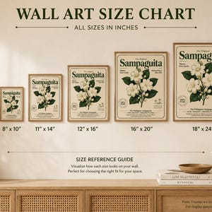 May include: A wall art size chart displaying five framed prints of the Sampaguita flower in sizes 8x10, 11x14, 12x16, 16x20, and 18x24 inches. Each print features a botanical illustration of white flowers with green leaves and text.