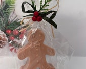 Gingerbread man Soap