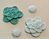 Succulent Soaps