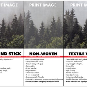 May include: Three different types of wall coverings for printing images. Peel and stick, non-woven, and textile vinyl. Each option has a description of its features and benefits.