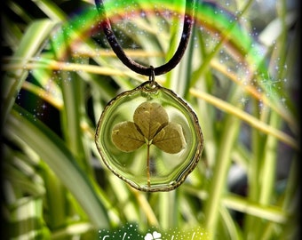 Real shamrock, dried clover, gold , lucky charm, saint Patrick's day, spring jewelry, handmade
