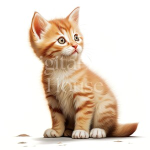 May include: A cute orange tabby kitten with white markings sits on a white background, looking up with big green eyes.