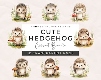 Watercolor Hedgehog Clipart – Animal PNG Graphics, Commercial Use (Digital Download)