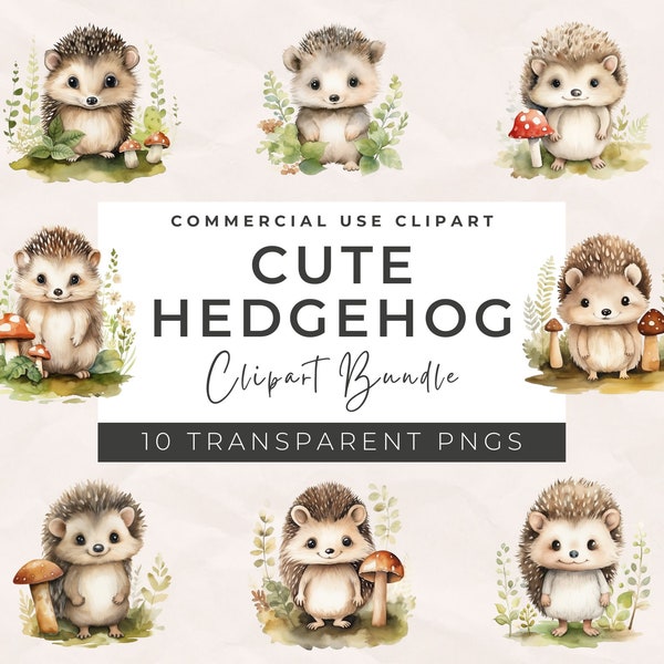 Cute Hedgehog Clipart - Watercolor Cute Hedgehog Watercolor Clipart Perfect For Card Making Digital Paper Craft Digital Download