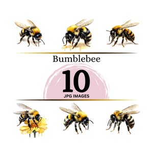 Bumblebee Clipart - 10 High Quality JPGs - Digital Download - Card Making, Mixed Media, Digital Paper Craft