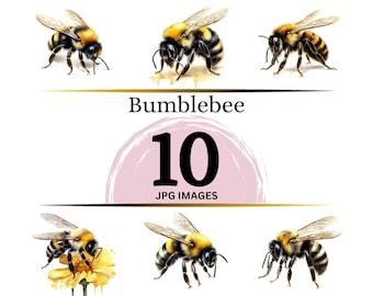Bumblebee Clipart – 10 JPG Images for Card Making (Digital Download)