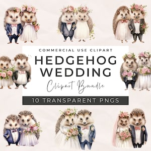Clipart de casamento de ouriço fofo, PNG de ouriço fofo, PNG de alta qualidade, download digital, artesanato em papel, diários indesejados