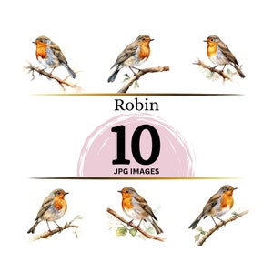 Robin Clipart - 10 JPG's van hoge kwaliteit - Digitale download - Kaarten maken, Mixed media, Digitale papiermodellen