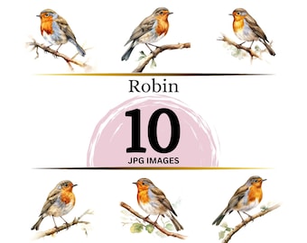 Robin Clipart – 10 JPG Bird Images, Digital Download