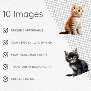 Pu&ograve; includere: Immagine con due illustrazioni di gattini, uno arancione e bianco, l'altro nero e grigio. Il testo include "10 Images", "Unique & Affordable", "3000 x 3000 px | 25.4cm x 25.4cm", "Alta risoluzione 300 DPI", "Sfondo trasparente" e "Uso commerciale".